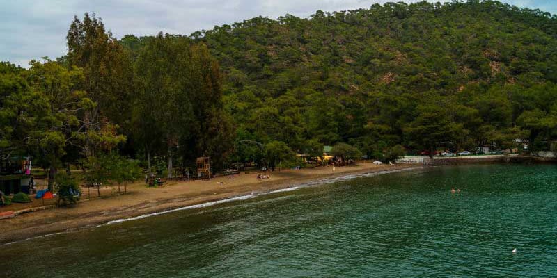 backtonature-wikolia-11